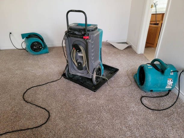Water damage restoration insurance claims in Galesville, MD