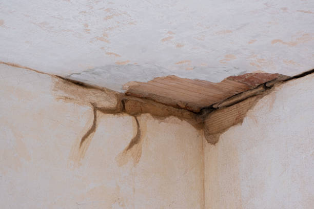 Best Water damage mitigation services  in Galesville, MD