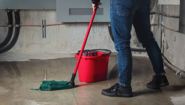 Best Basement water damage restoration  in Galesville, MD