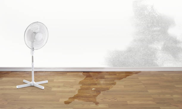 Best Water damage cleanup near me  in Galesville, MD