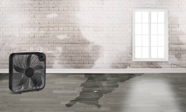 Trusted Galesville, MD Water damage restoration Experts