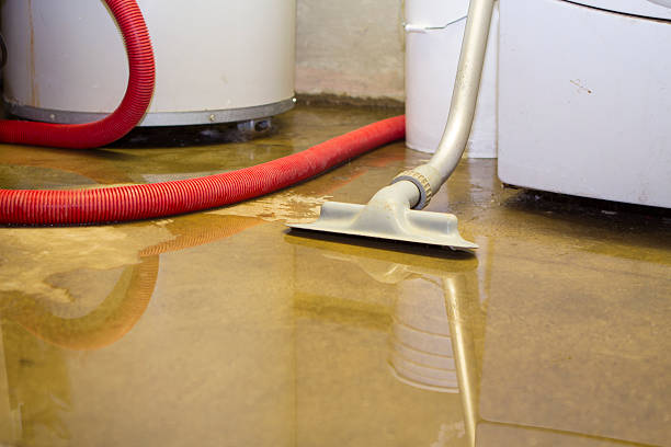 Best Mold removal after water damage  in Galesville, MD