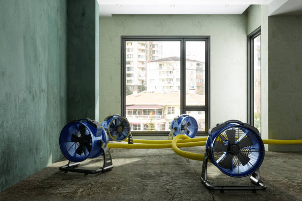 Water damage restoration experts in Galesville, MD