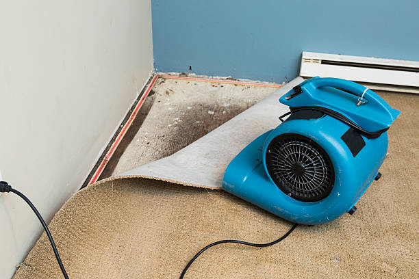Best Residential water damage restoration  in Galesville, MD